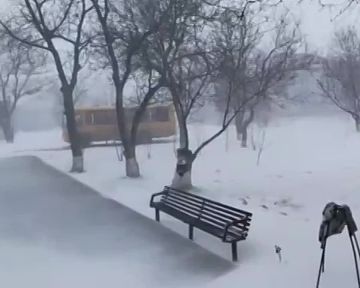 Когда зима показывает характер…