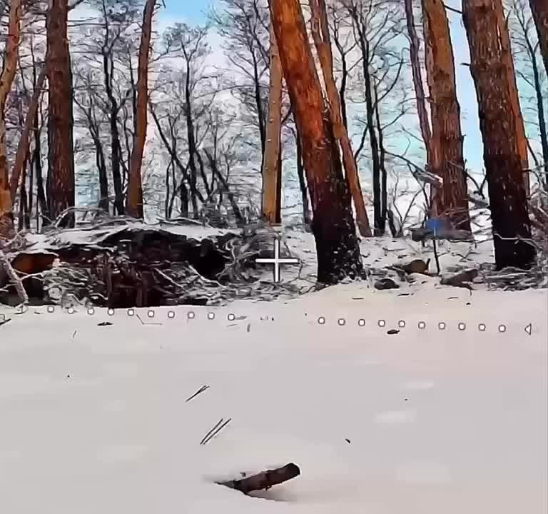 Момент, когда охотник превращается в дичь!
