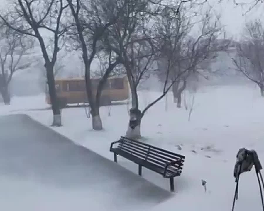 ����� ���� ���������� ���������