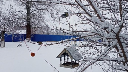 ������� ����� �������� ���������� ������� ������� � ��������-�������� �������� �� ����� ������ ���� ������