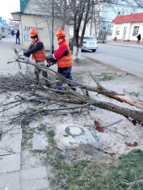 ������ �� ��������������� � ������������ ������������