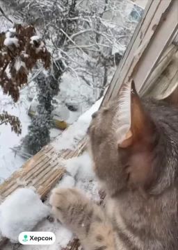 ��� ����� ������� ����. ������ �� 20 �C ���������� �� ������� �� ����� ������, � ���������