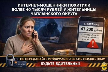 Под предлогом покупки овощей интернет-мошенники похитили у жительницы Чаплынского округа более 40 тысяч рублей