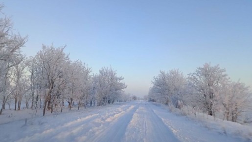 ����� ����������� ���������� ���� ����