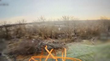 ���������. ������� ���� ����� ����������� ������ ����������� ����� ������ ���������� ������ ������� ����������, �������-������������ � ���������� � ������ �������� ��� �� ���������� ����������� ���� �� �������