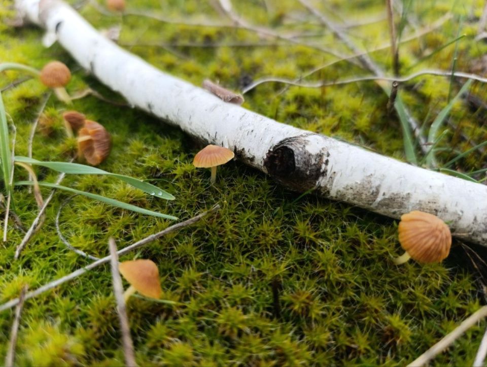 Доброе утро, жители и гости Генического округа!