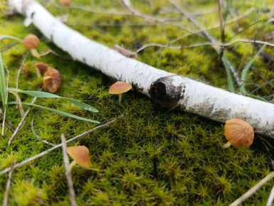 ������ ����, ������ � ����� ����������� ������!