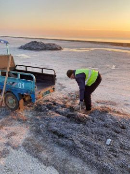 ������ �� ��������������� � ���������� ������� ������������