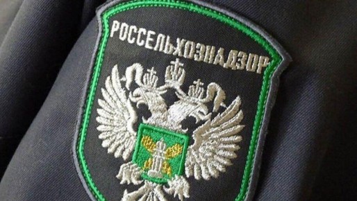 � ���������� ������� � 2025 ���� ������ 95 ��������������� ���������� ��������