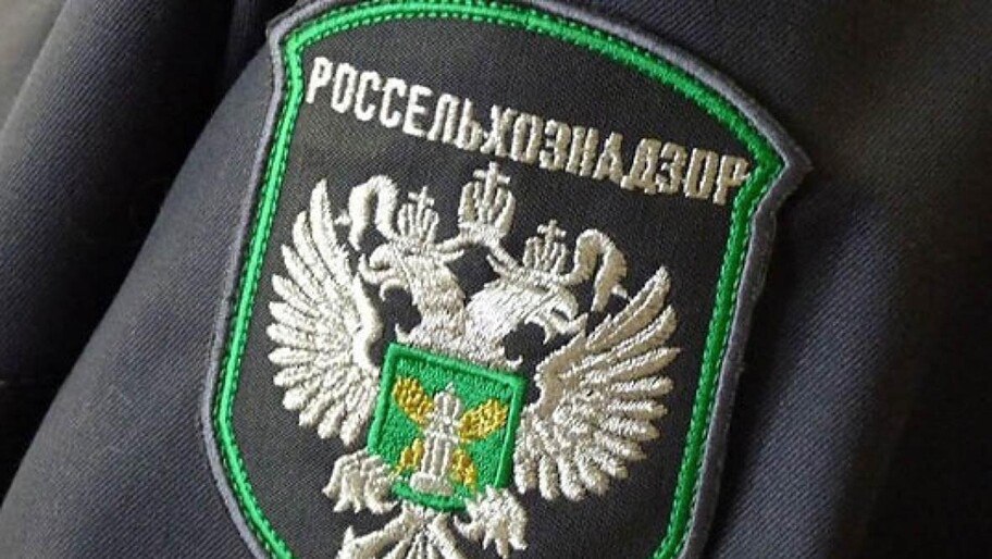 В Херсонской области в 2025 году выдано 95 предостережений заведениям общепита