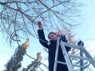 ���� ������� � ����������� ���������� ���������� � ������