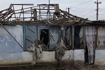 ���� ����� ���������� �����: ��� ������� 585 ������ �� ������������ ������ �� ������