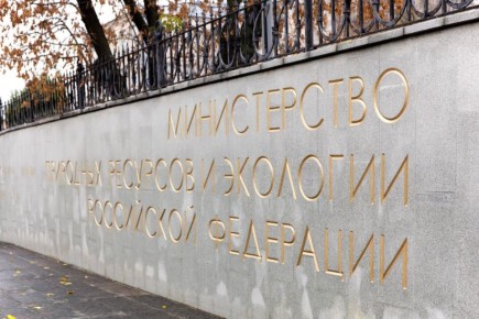 ����������� ������: � ����� �������� ������������� ���������� �� ��������, ������� ������� � ���������