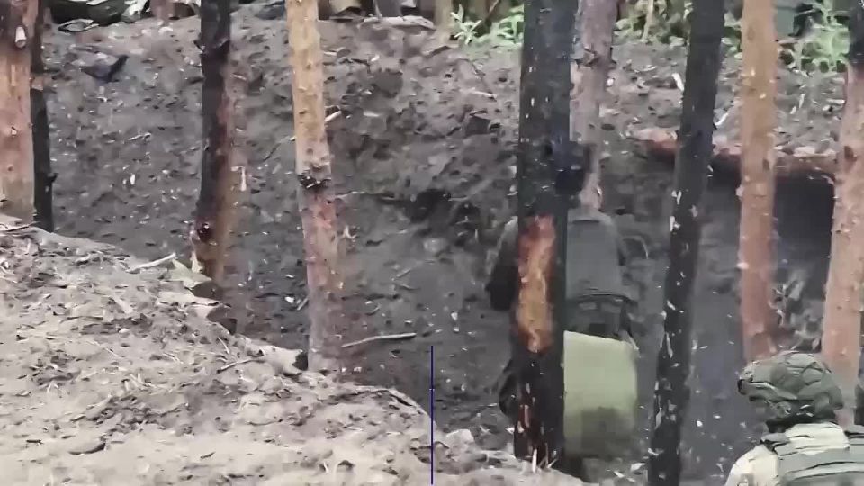 Владимир Оганесов: Присоединяйся к СВОим!. 1 000 000 за первый месяц