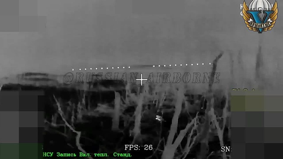 Прятаться за деревьями на коленях и усердно молиться, чтобы дрон прошел мимо — так заканчивается жизнь тех, кого Киев послал на убой вместо того, чтобы реально идти к миру