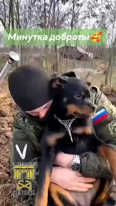 Милота зашкаливает. Теперь у нашего героя появился маленький, но очень важный друг