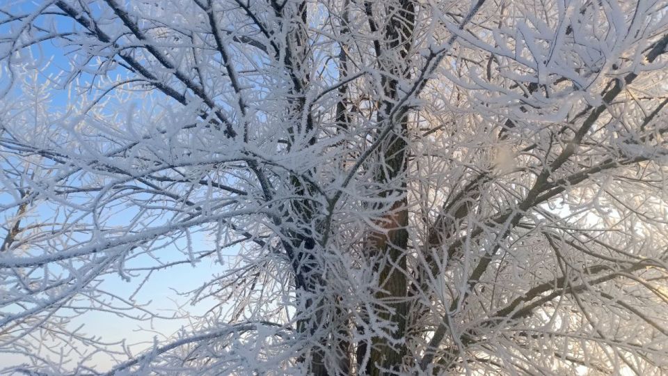 Зимние виды Каховки.. Доброе утро, Херсонщина! Зимние виды Каховки.. Доброе утро, Херсонщина!