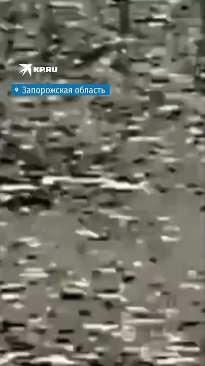 «Прометей» закрыл херсонское небо: Волонтерский РЭБ помогает сбивать дроны ВСУ