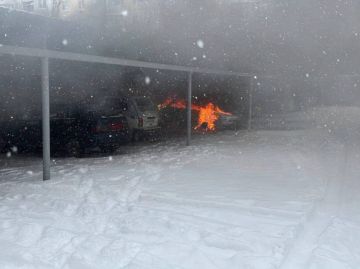 Владимир Сальдо: За минувшие сутки в результате ударов киевских боевиков погиб один мирный житель, трое пострадали