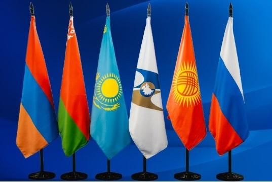 В Чаплинском округе Херсонской области сотрудники Госавтоинспекции провели занятия со школьниками В Чаплинском округе Херсонской области сотрудники Госавтоинспекции провели занятия со школьниками