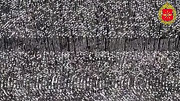 ���������� ������: ������� ����� ����������� ������ ��������� ������ ���������� �����