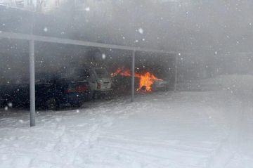 �������� ����� ������� ����� �� �����: ��� ��������� ��� ����� ������� � ���������� ���� ������� ����������