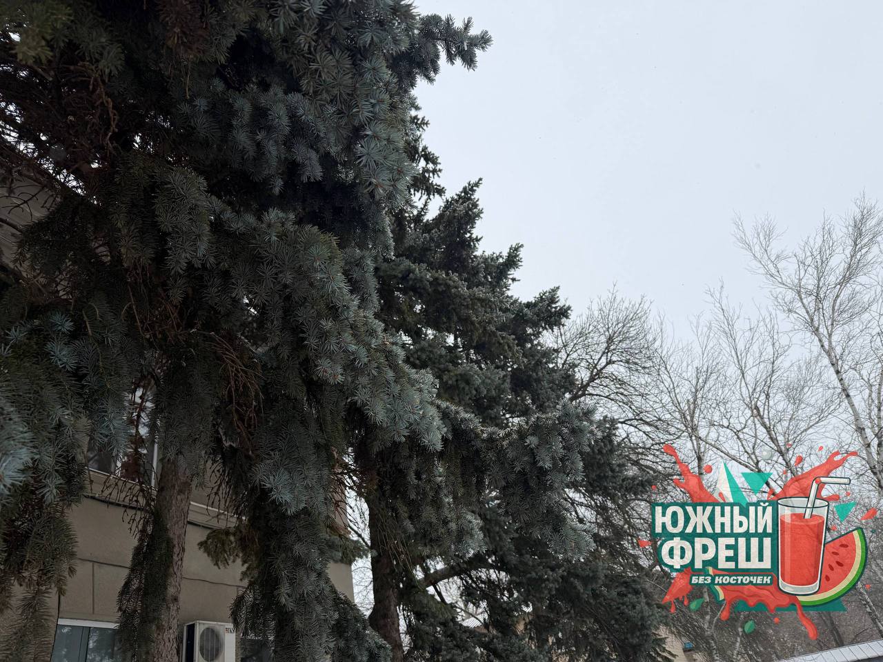 Снежная зима на Херсонщине: фото из Новотроицкого и Нижних Серогоз Снежная зима на Херсонщине: фото из Новотроицкого и Нижних Серогоз