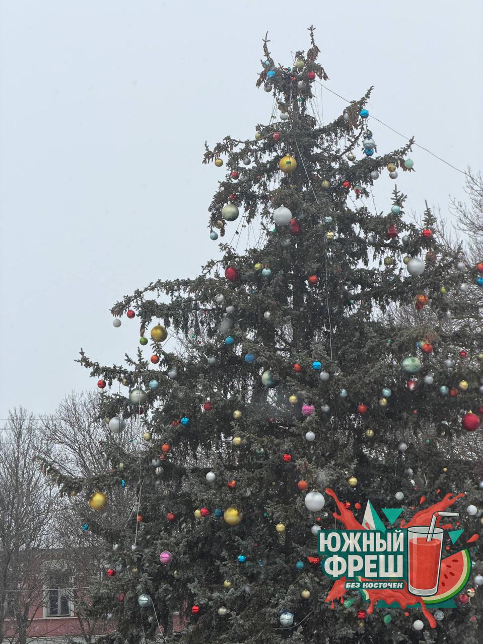 Снежная зима на Херсонщине: фото из Новотроицкого и Нижних Серогоз