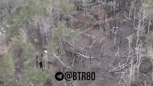 ���������� ���� � �������� �������� ������� ���!