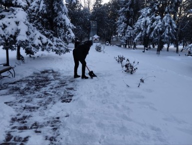 ������ � ���������� ��������: ������������� ��������� ���������� ������ � ��������