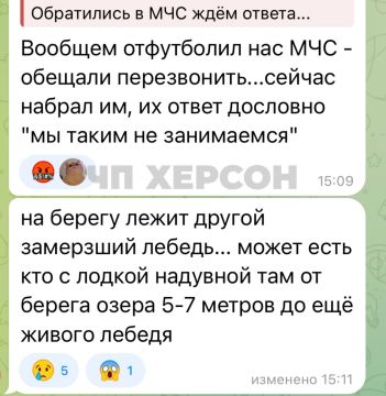 ���������� ��� ���������� �������� � �������� ����������� ������