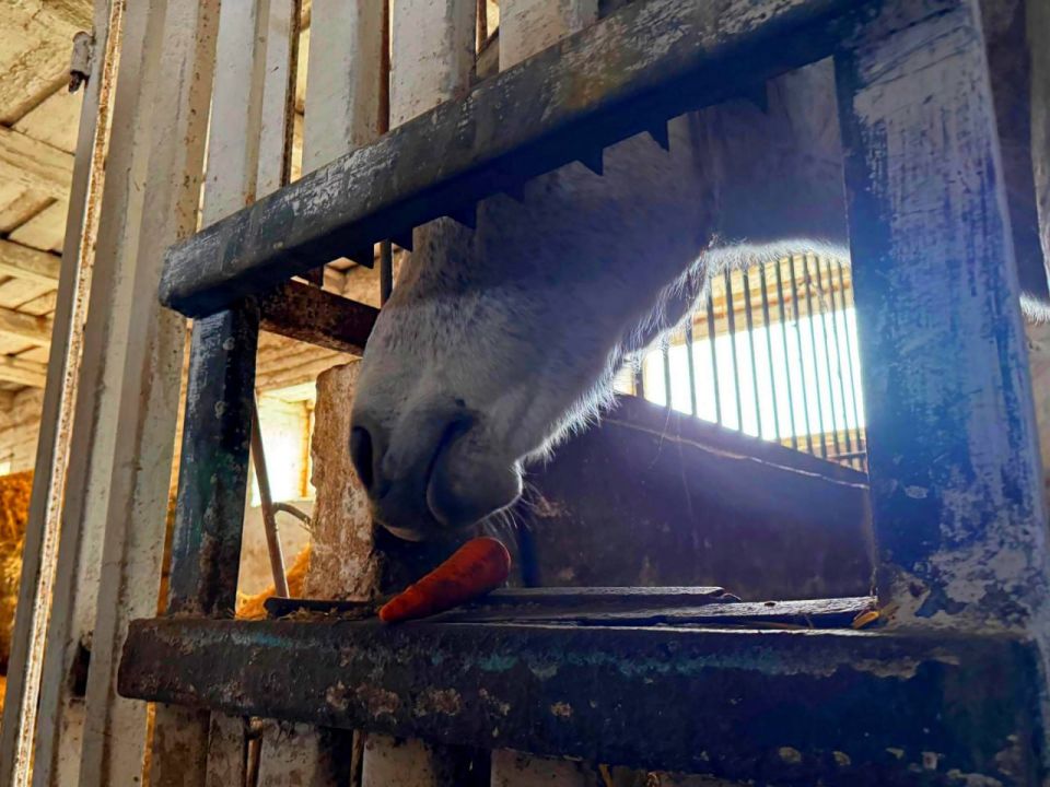 � �� ����� ��� ������ ���� �