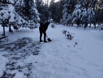 ������ � ���������� ��������: ������������� ��������� ���������� ������ � ��������