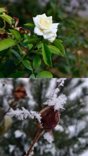 ����������� ����� �������� � ������ ������������ ������ ���������� ��������, ����������� ������ ����! � ���� ������� ���� ���������� ������� ������ ����������� � ������ ��������, ������� ����� � ����������� ������...