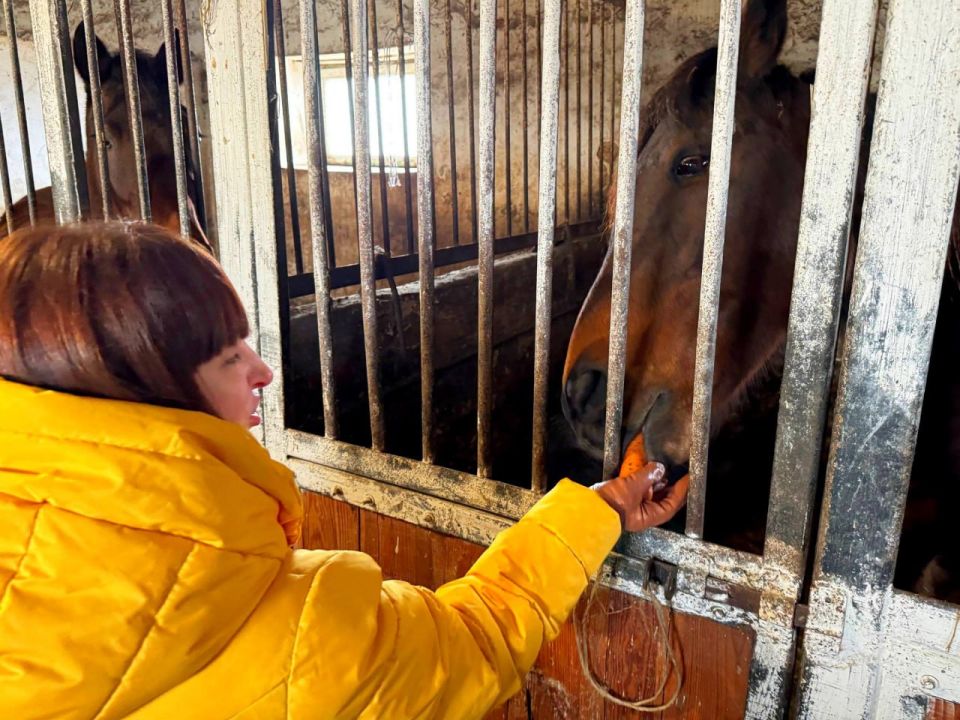 � �� ����� ��� ������ ���� �