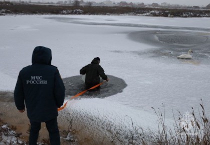 ��������� ���� � ����� �������� ������������ ������ � ������ ���������� �����