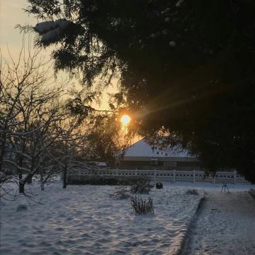 �������� ������ �����������