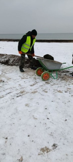 ��� ������������ ���������� ������ �� ��������������� � ���������� ��������� � ������