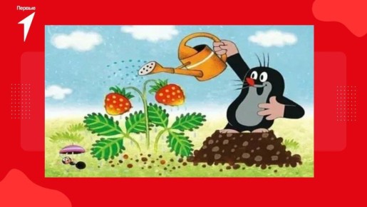 ��������� ��������