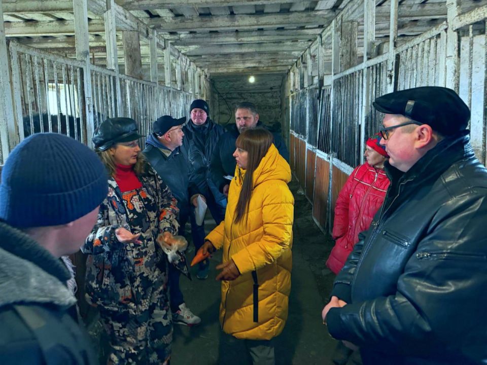 � �� ����� ��� ������ ���� �