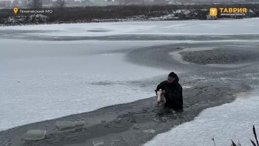 ������������ �������� ������ �������: ����������� ������ � ������ ���������� ����� ������