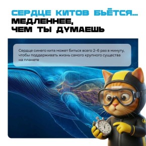 �� �������� ������, ��� ������ � ��� ������