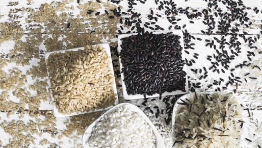 ����� ����� ����������, ���������頗 �������� ����