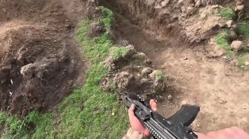 ������. ��������� ������������� ����������� ����������� �������������� ������ �� �������� ���� �� �������