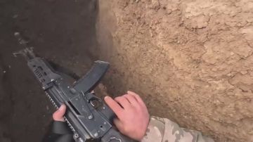 ��������� ������������� ����������� ����������� �������������� ������ �� �������� � ���������� �������