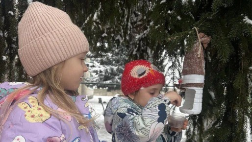 ����������� �� ����������� ������ ������� ������� � ����� �������� ���� �����