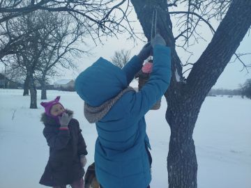 � ����������� �������� ���������� ������ �������� ���������� ���������� �������