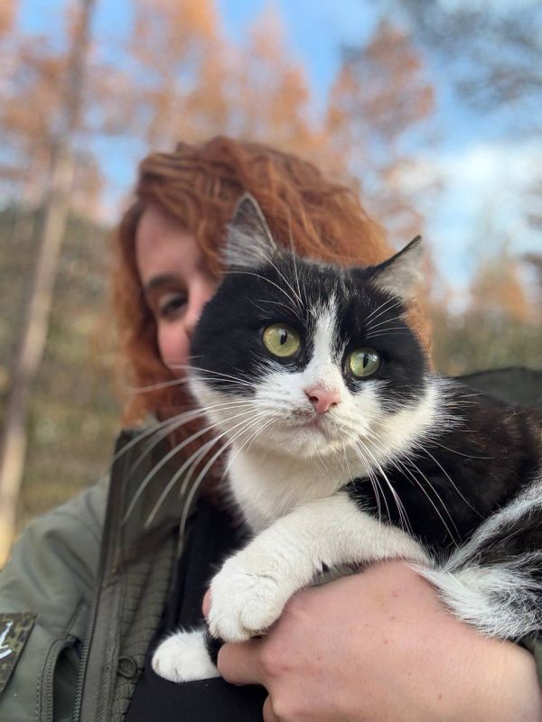 ���� ���������: ��������� 98-� �������.. ���-�� � ���������� �������