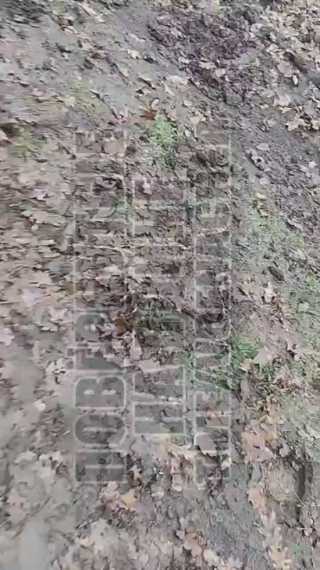 ������ �������� ������ ��������� �������� �������� �� ������� �����