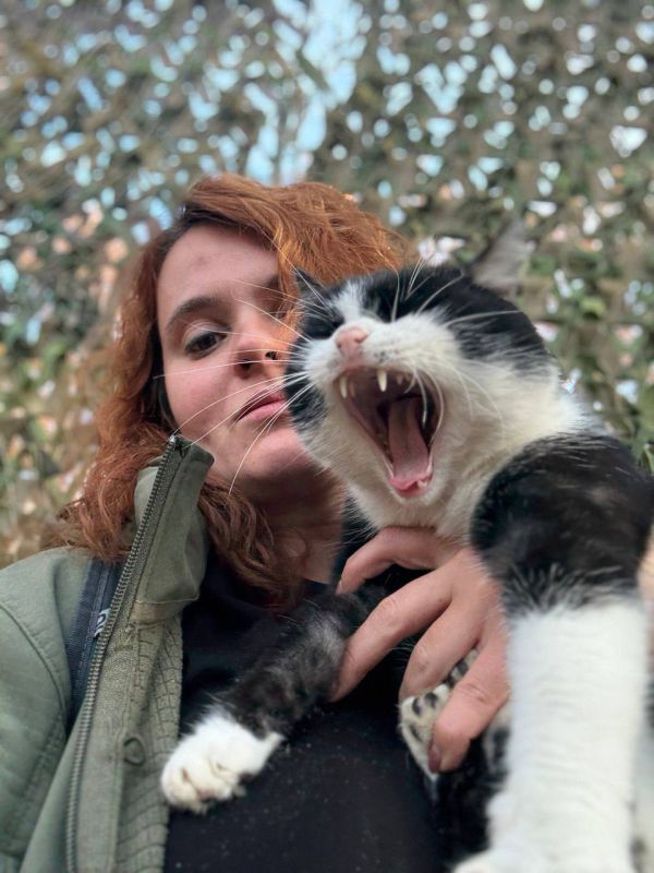 ���� ���������: ��������� 98-� �������.. ���-�� � ���������� �������